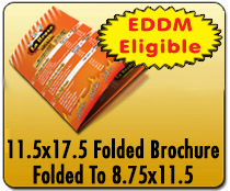 Direct Mail - 11.5x17.5 Folded Brochure